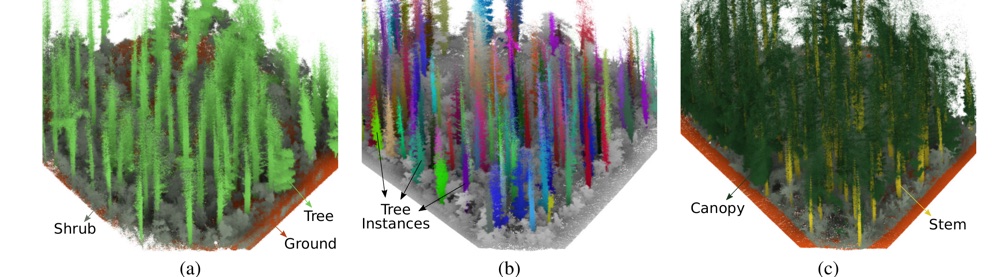 malladi2025digiforests.jpg