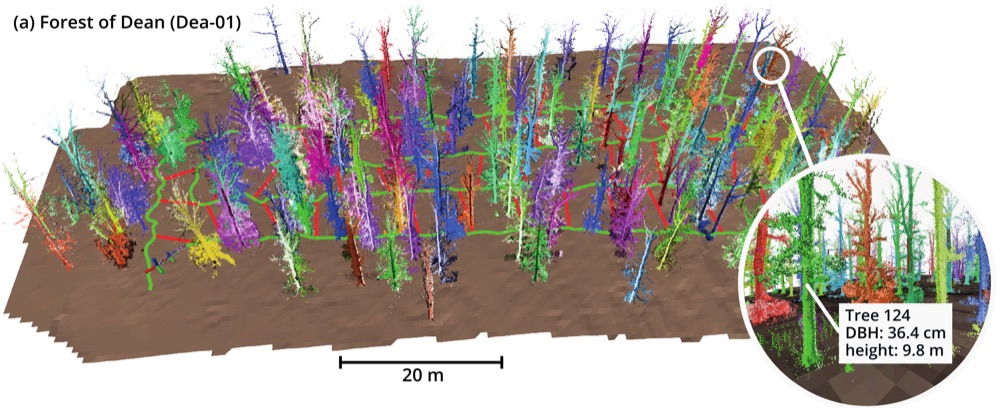mattamala2025forest.jpg